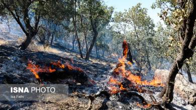 آتش سوزی منطقه حفاظت شده خامی باشت همچنان ادامه دارد
