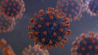 شناسایی نوع جدیدی از کرونا ویروس در انگلستان