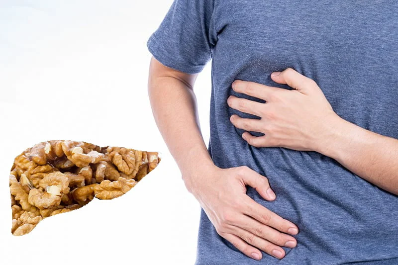 خواص گردو برای کبد چرب | آیا گردو برای کبد چرب ضرر دارد؟