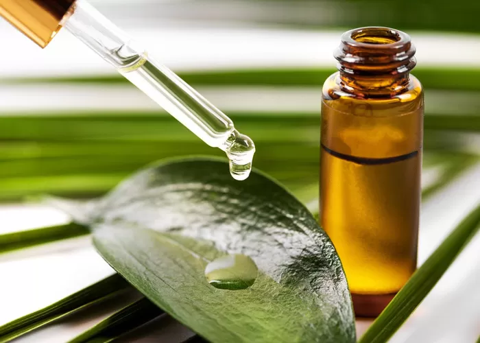 What are the properties of tea tree oil for skin and hair