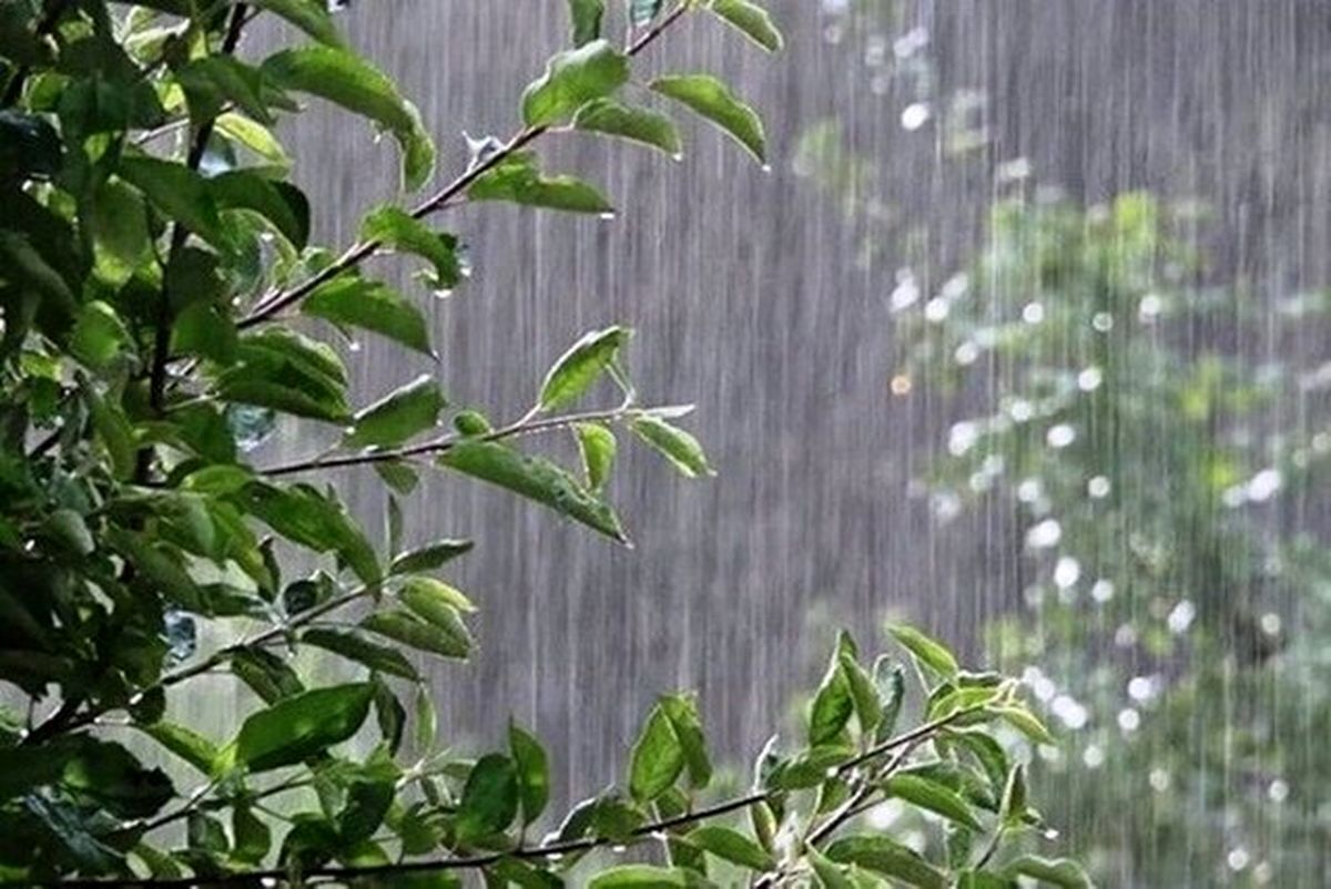 هشدار بارش شدید باران و خسارت به محصولات کشاورزی در 3 استان