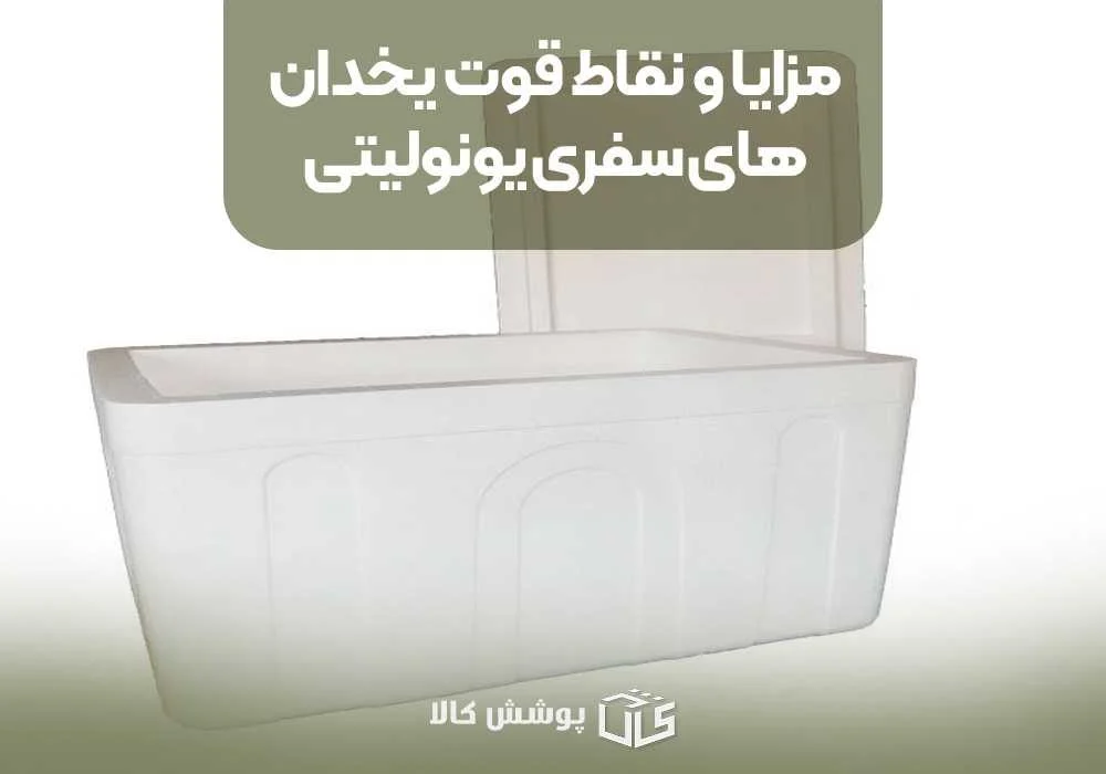 مزایا و نقاط قوت یخدانهای سفری یونولیتی