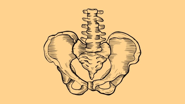 سلامت عضلات کف لگن: همه چیز درباره تشخیص و درمان مشکلات لگنی