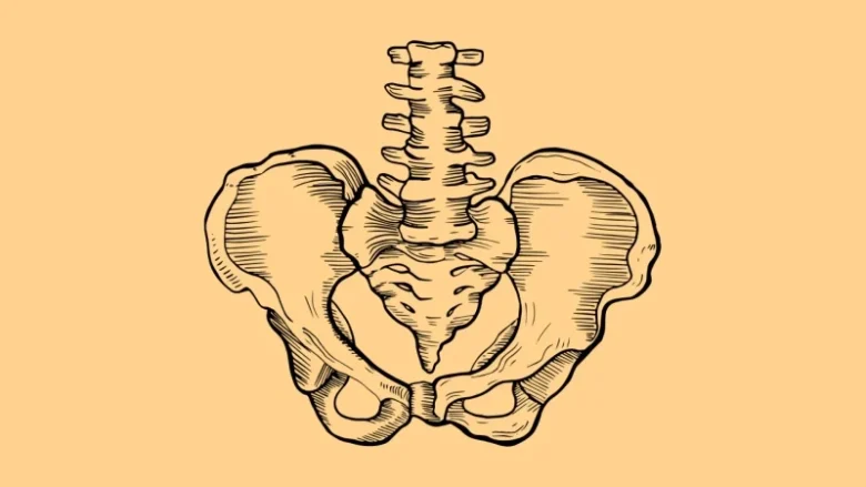 سلامت عضلات کف لگن: همه چیز درباره تشخیص و درمان مشکلات لگنی