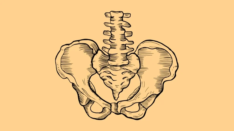 سلامت عضلات کف لگن: همه چیز درباره تشخیص و درمان مشکلات لگنی